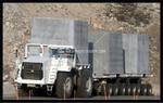 2010 TEREX TR100