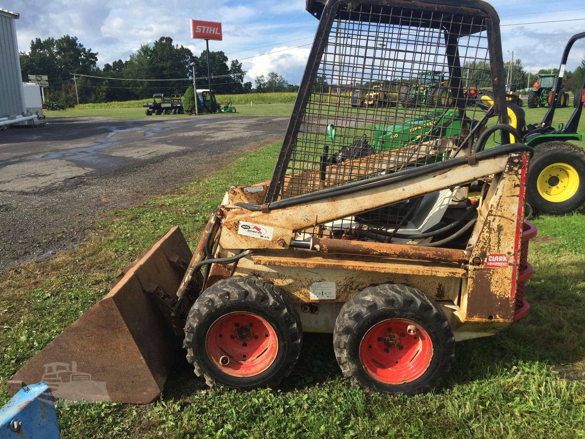 bobcat